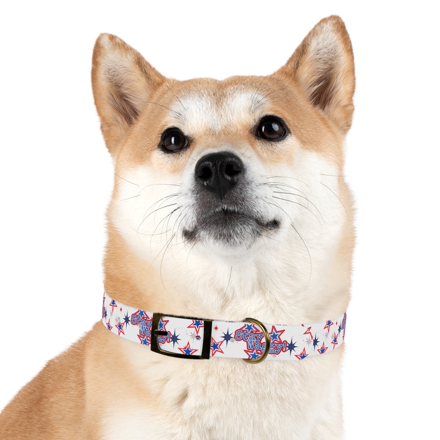 Stay Waggy! White Patriotic Stars Dog Collar