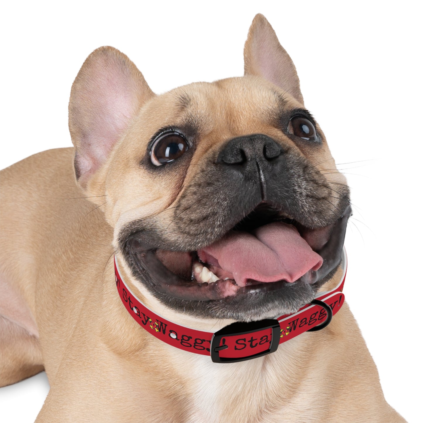 Stay Waggy! Dog Collar - Red