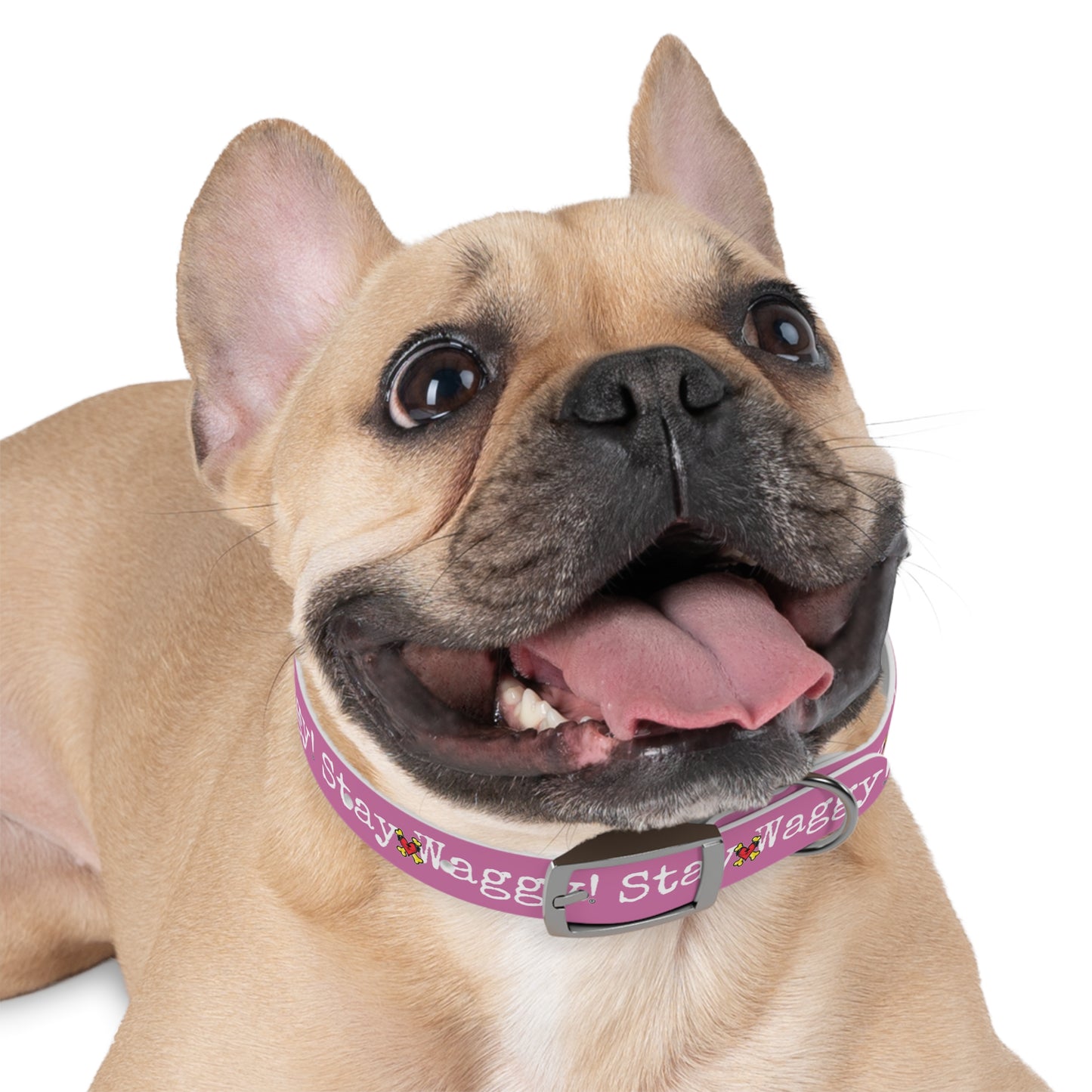 Stay Waggy! Dog Collar - Light Pink