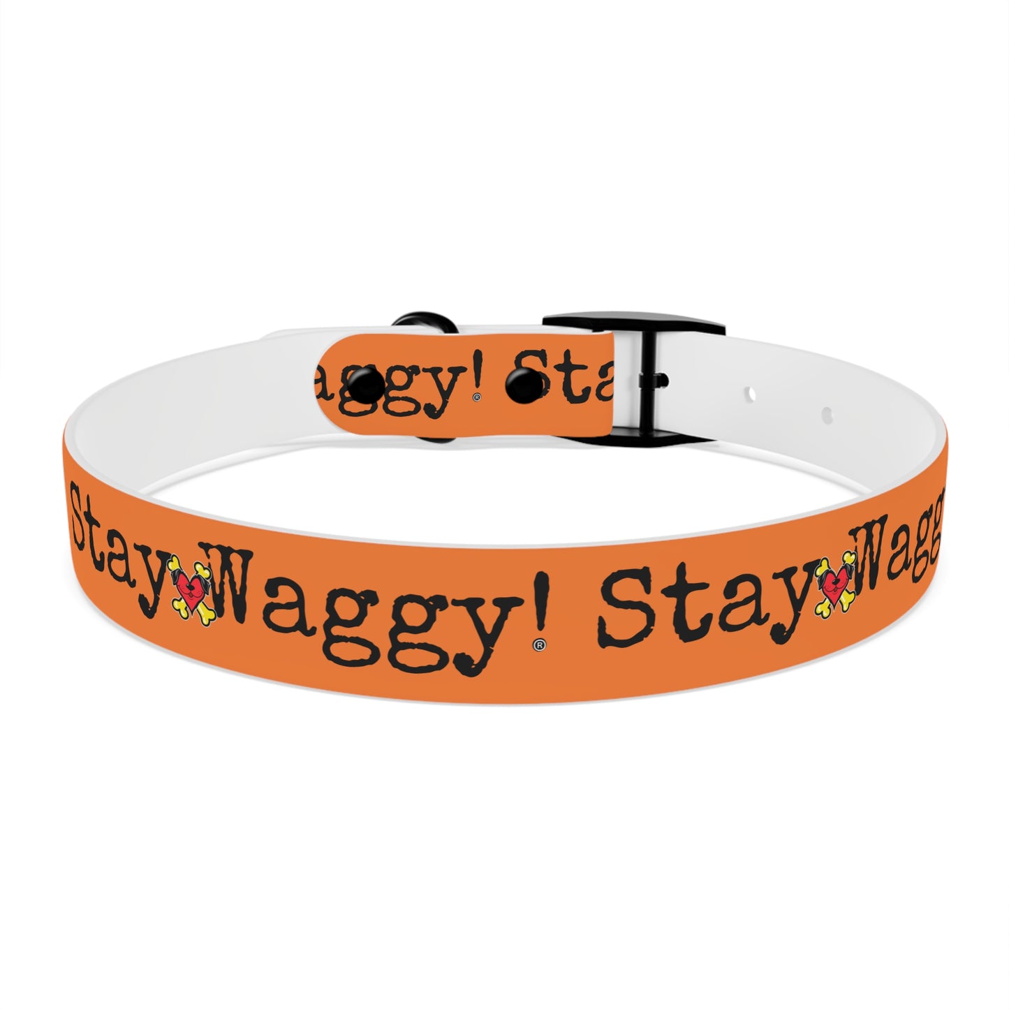 Stay Waggy! Dog Collar - Orange