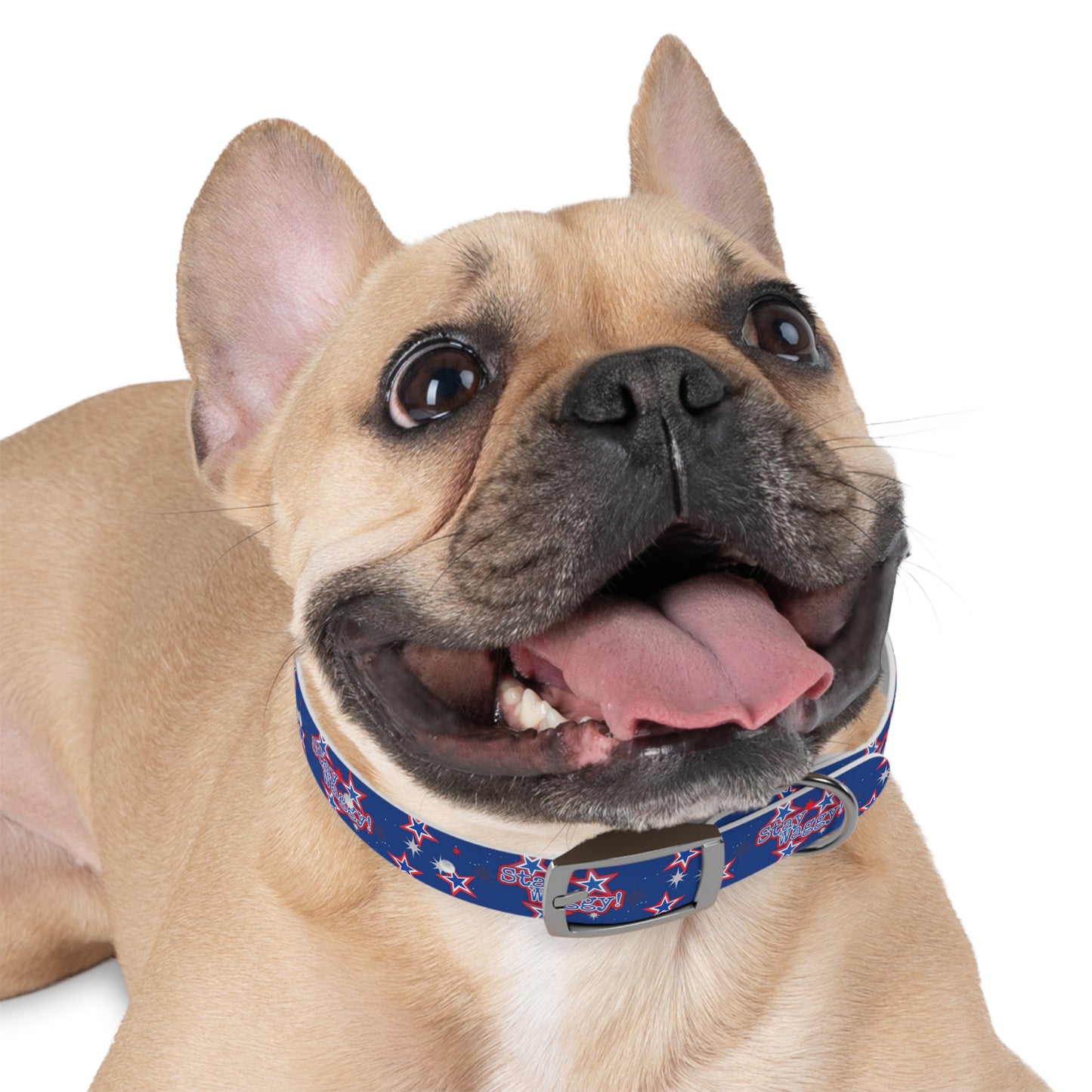 Stay Waggy! Blue Patriotic Stars - Dog Collar