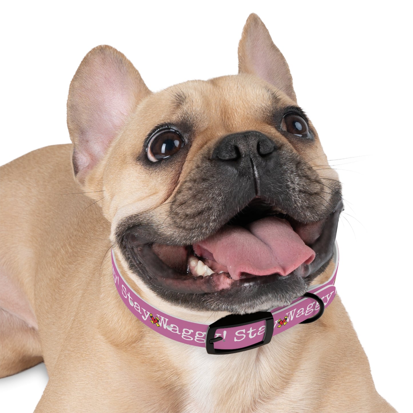 Stay Waggy! Dog Collar - Light Pink