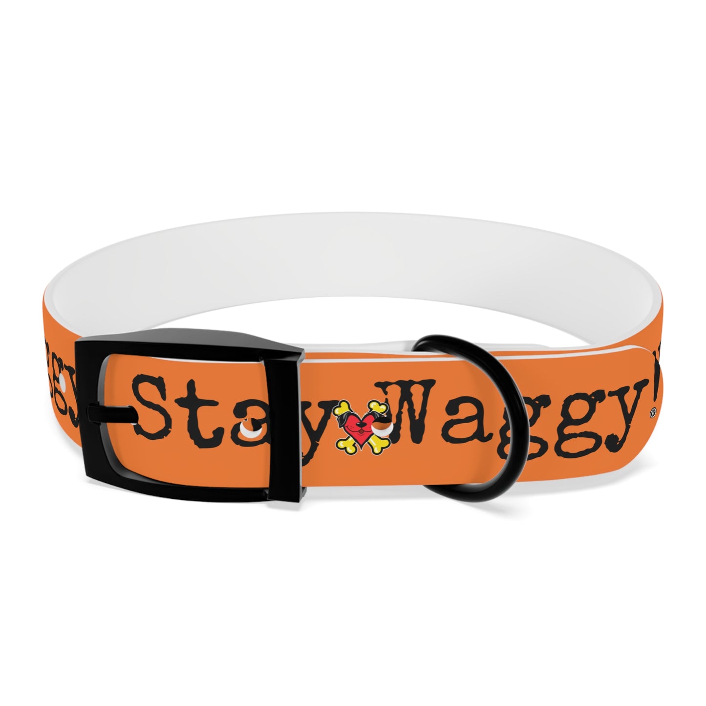 Stay Waggy! Dog Collar - Orange