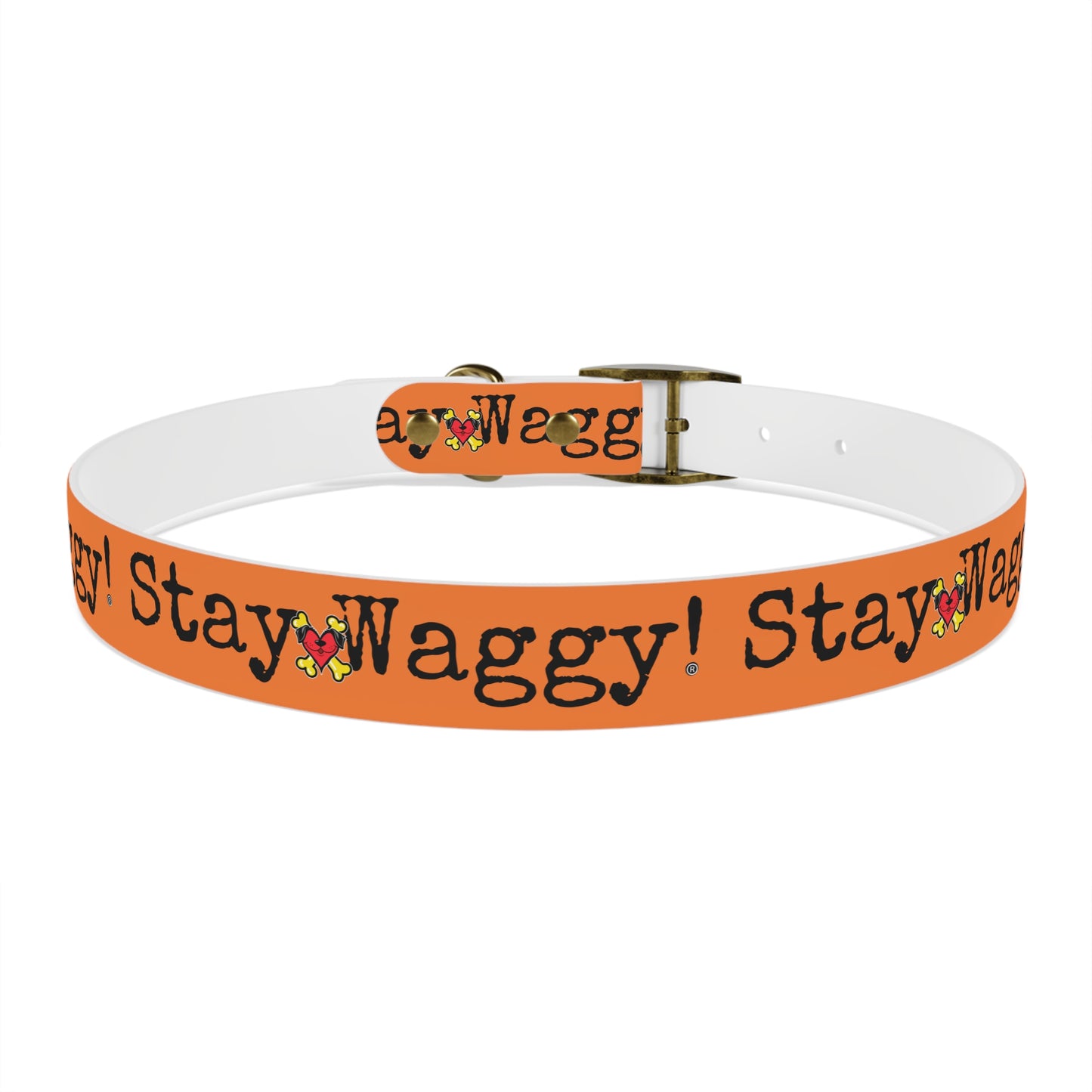 Stay Waggy! Dog Collar - Orange