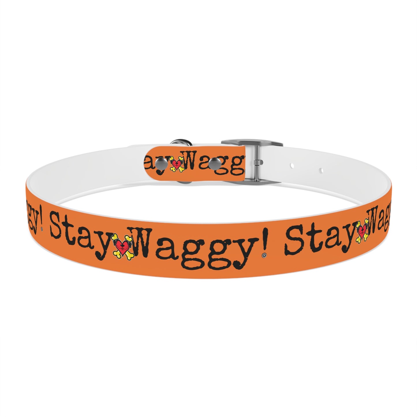 Stay Waggy! Dog Collar - Orange