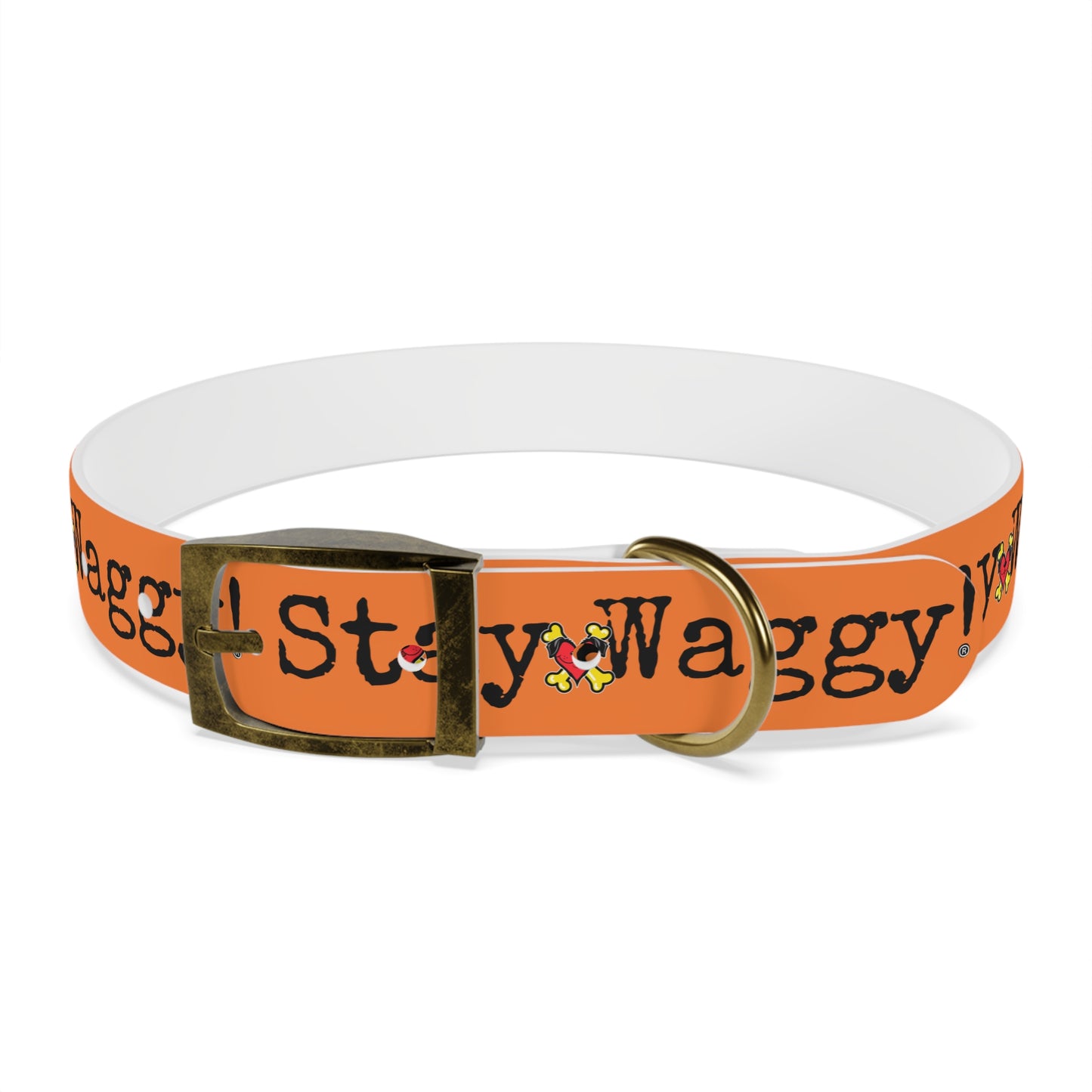 Stay Waggy! Dog Collar - Orange